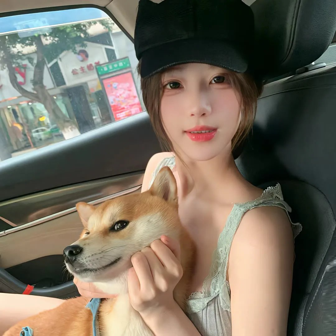 三只小猪