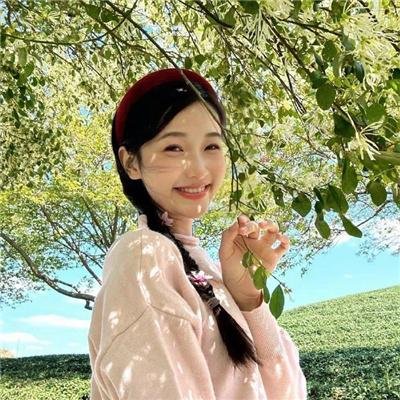 在无爱之森呐喊：深入密森